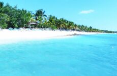 4 Day Trip to Punta cana from Republic