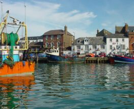 5 Day Trip to Weymouth, Dorset, Lyme regis, Bridport, West bay from Cardiff