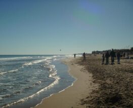  Day Trip to Alicante from Playa Flamenca