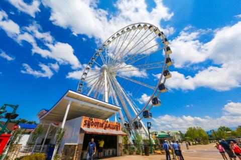 8 Day Trip to Pigeon forge from New York
