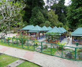 Trip to Kota Kinabalu