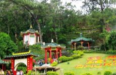 5 Day Trip to Baguio from Jeddah