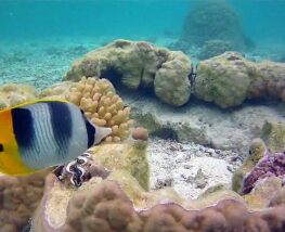 7 days Trip to Bora Bora from Singapore