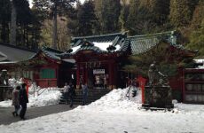 4 Day Trip to Hakone from Cedar city