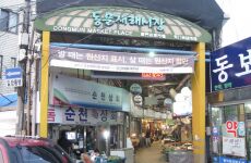 8 Day Trip to Seoul, Busan, Jeju-si from Delhi