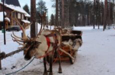 4 days Trip to Rovaniemi from Helsinki