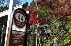 2 Day Trip to Nikko from Funabashi