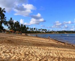 7 Day Trip to Maceió from Cananeia