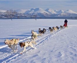 4 Day Trip to Kirkenes from Tallahassee