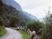 4 Day Trip to Flåm from Northampton