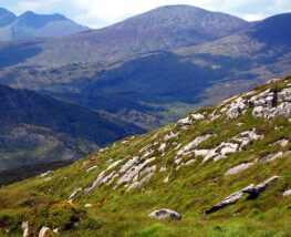4 Day Trip to Killarney from Scarborough