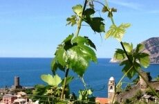6 days Trip to Vernazza from Para Hills
