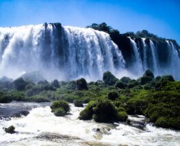 4 Day Trip to Foz Do Iguaçu from Londrina