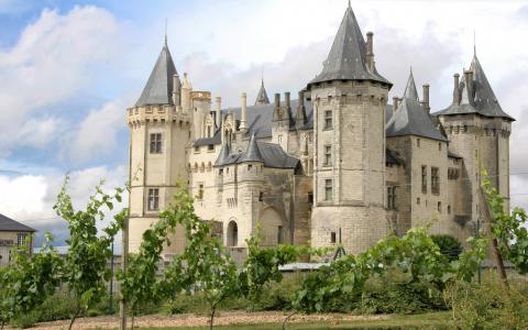 10 Day Trip to France from Villejuif