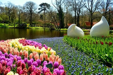 1 Day Trip to Lisse from Pantin