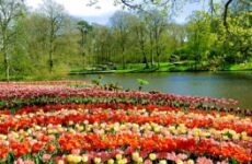 3 days Itinerary to Lisse from New haven