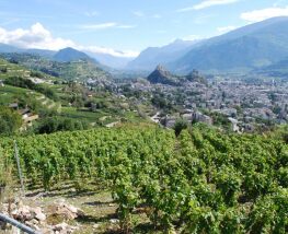 5 days Trip to Sion from Arnhem
