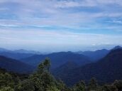 4 days Trip to Cameron highlands from Kajang