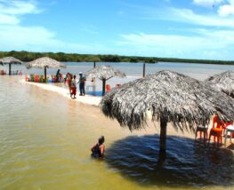 4 Day Trip to Aracaju from Thrissur