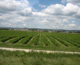 3 Day Trip to Beaune from Montreal