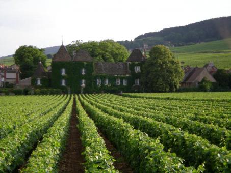 3 Day Trip to Beaune from Unterengstringen