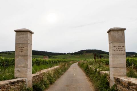  Day Trip to Beaune