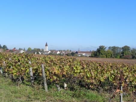 3 Day Trip to Beaune from Grayling