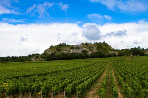 5 Day Trip to Beaune from Dubai