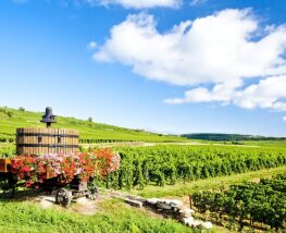 3 days Itinerary to Beaune from Vineyard Haven