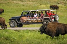 3 days Itinerary to Custer from York