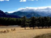  Day Trip to Estes park from Aurora