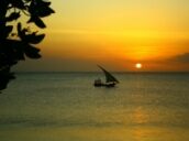 5 days Trip to Zanzibar