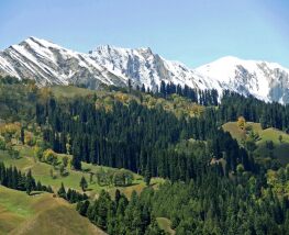 6 Day Trip to Sonamarg from Sonipat