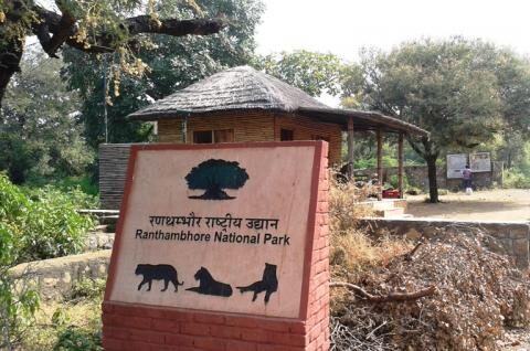  Day Trip to Ranthambore national park