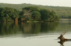 2 days Trip to Ranthambore national park from Nawalgarh