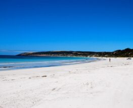 2 days Trip to Kangaroo island from Adelaide