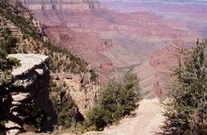 5 days Trip to Grand canyon national park, Zion national park from Cypress