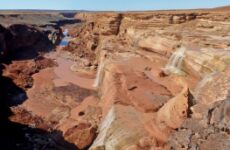 6 days Trip to Grand canyon national park from Buda