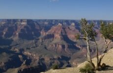  Day Trip to Grand canyon national park from Casa Grande