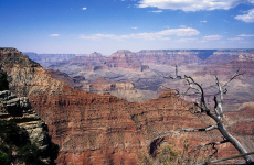 24 Day Trip to Miami, Los angeles, New york city, Boston, Grand canyon national park from Whyalla