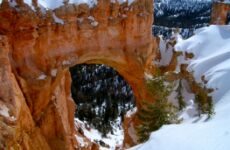 Trip to Bryce Canyon National Park