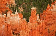  Day Trip to Bryce canyon national park from Antimony
