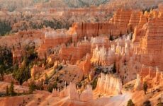 17 Day Trip to Los angeles, Yosemite national park, Ann arbor, Springdale, Bryce canyon national park, West thumb from Berlin