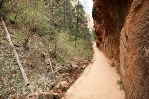 8 Day Trip to Durango, Page, Bryce canyon national park, Zion national park from Derby