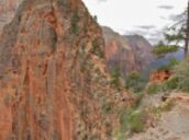 4 days Trip to Las vegas, Grand canyon national park, Zion national park from Collingwood