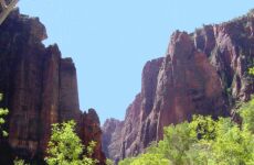4 days Trip to Las vegas, Grand canyon national park, Zion national park from Collingwood