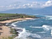 Trip to Maui