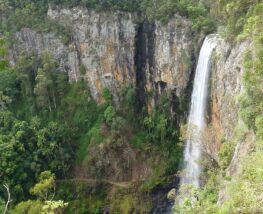 4 Day Trip to Springbrook from Mountain top