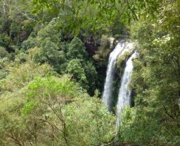 4 Day Trip to Springbrook from Meridian