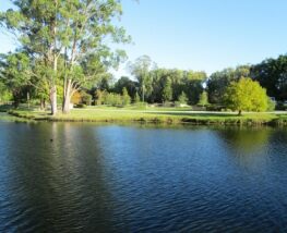 4 Day Trip to Benowa from Clemmons